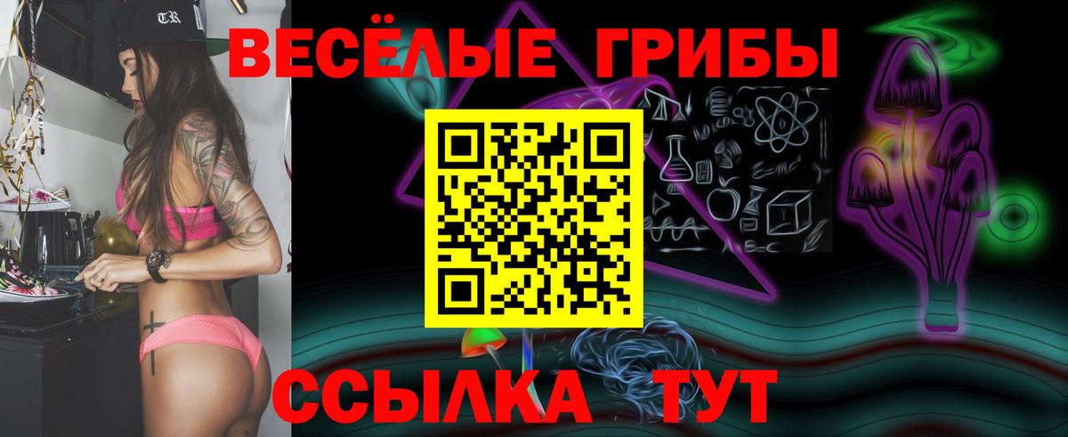 Псилоцибиновые грибы MAGIC MUSHROOMS Ессентуки