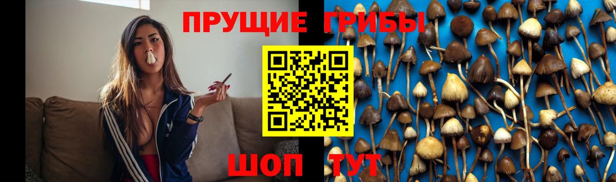Ессентуки  Псилоцибиновые грибы мухоморы  Вход с VPN 